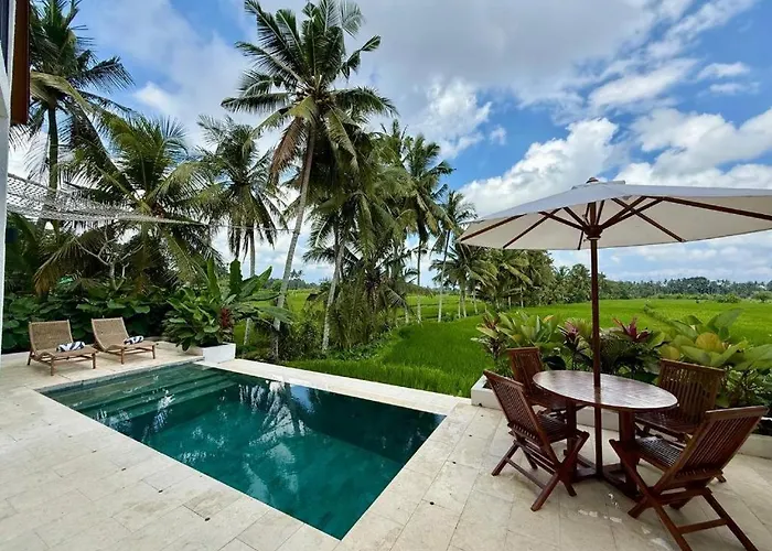 فيلة Dzen Greenfield 10