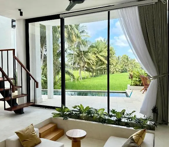 فيلة Dzen Greenfield 10 *